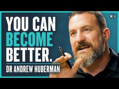 The Secret Tools To Hack Your Brain - Dr Andrew Huberman (4K)