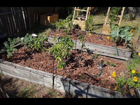 Winter Gardening: Expanding My Garden and Preparing the Soil