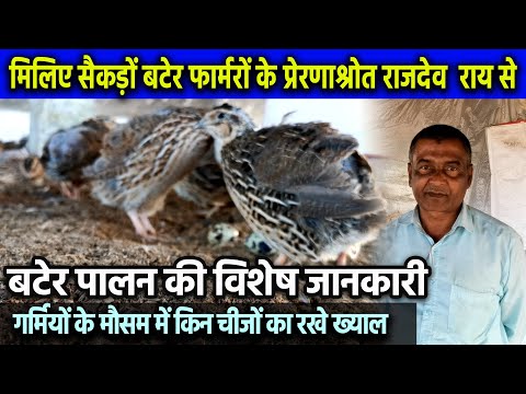 गर्मियों में बटेर का पालन कैसे करे?  Biharstory Media | Bater Farming In Bihar | 