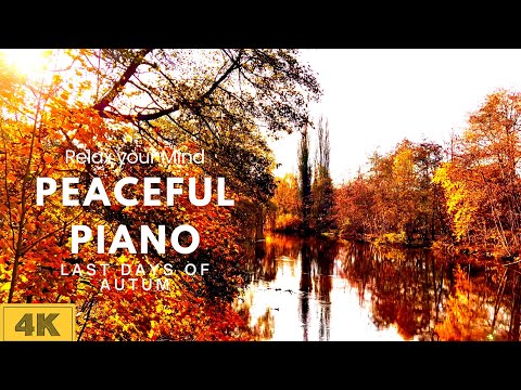 Relax your Mind | 4K Peaceful Piano Music | 40 Minutes Meditation, Nature &amp; Sleep