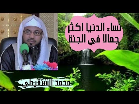 تتمة درس نساء الدنيا افضل من نساء الجنة ، الشيخ الدكتور محمد علي الشنقيطي .