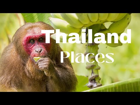 10 Best Places to Visit in Thailand / 4K / Travel Images