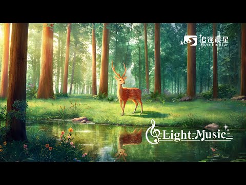 Light Music | 3 hours of spiritual music, admiring the stream, be quiet before God