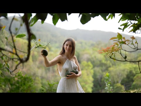 Abundant Harvests in a Magical Avocado Forest