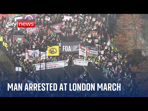 Met Police arrest man at pro-Palestinian march