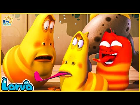 LARVA SEASON 3 EPISODE 70 - CARTOON MOVIE TOP 50 EPISODE  - CARTOON FOR KID 2024