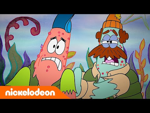 El show de Patricio estrella | &iexcl;Un viaje de campamento salvaje! | Nickelodeon en Espa&ntilde;ol