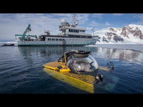 The Deepest Dive in Antarctica Reveals a Sea Floor Teeming With Life