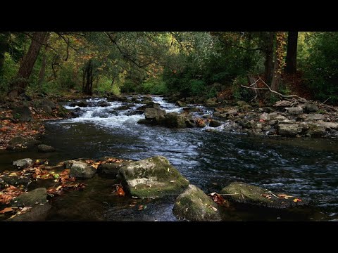 Mountain River Water Sounds for Sleep, Study &amp; Relaxation