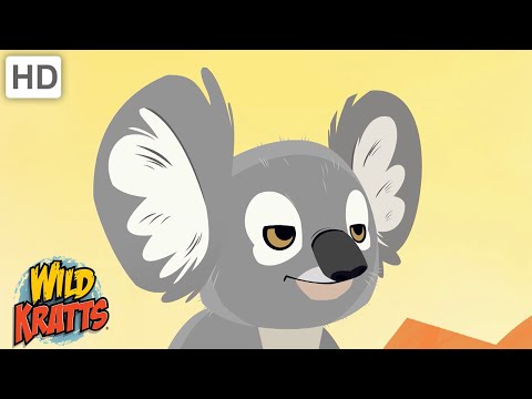 Creatures of Australia | Koalas, Kangaroos, Platypus + more! [Full Episodes] Wild Kratts