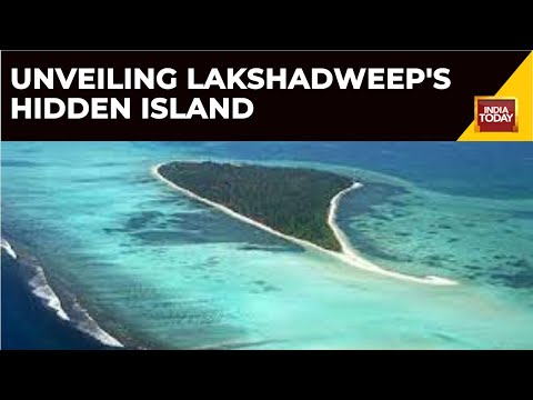 Exploring Paradise: Tiny Island Escape Near Bangaram, Lakshadweep | Lakshadweep News | India Today