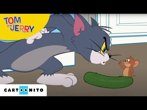 Tom i Jerry Show | Og&oacute;rkofobia | Cartoonito