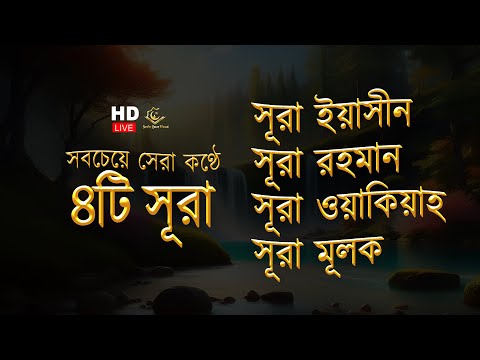 সব চেয়ে সেরা কুরআন তিলাওয়াত ২০২৪ - সূরা ইয়াসিন | সূরা আর রহমান |  সূরা ওয়াকিয়া | সূরা মূলক