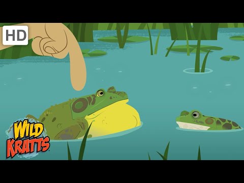 Semi-Aquatic Creatures | Frogs, Crocodiles, Hippos + more [Full Episodes] Wild Kratts