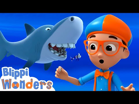 NEW! Blippi's Ocean Shark Adventure! - Blippi Wonders | Educational Cartoons for Kids