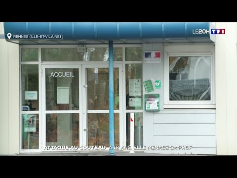 Rennes : en plein cours, une &eacute;l&egrave;ve de 5e brandit un couteau et menace sa professeure