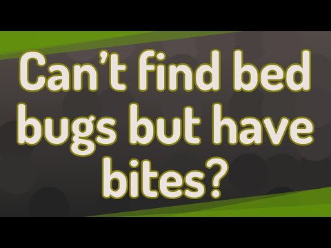 Can't find bed bugs but have bites?