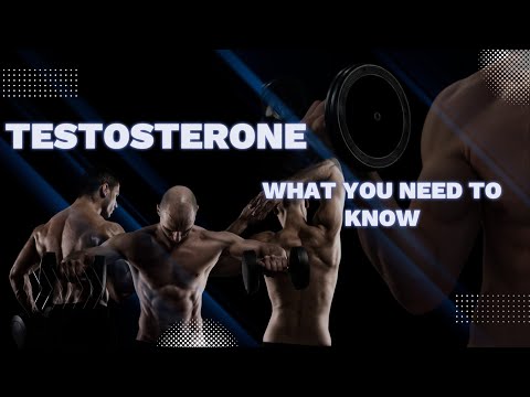 Boost Your Testosterone: The Gentleman's Journey