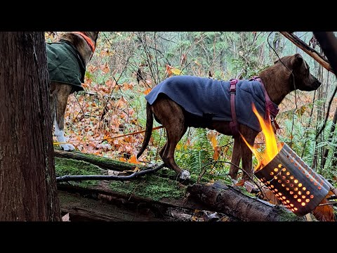 Bushwacking and Floating Ikea stove