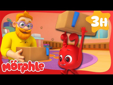 Morphle Bought Some Cheap Cardboard Boxes. They're Tearable! ? | Morphle Kids Cartoons