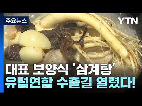 한국 대표 보양식 '삼계탕'...유럽연합 수출길 열렸다 / YTN