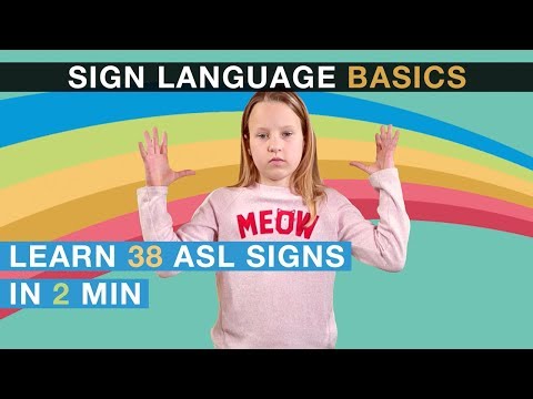 Sign Language Basics: Learn 38 ASL signs in 2 minutes