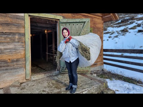 A woman alone maintains a household in the mountains! Making cheese