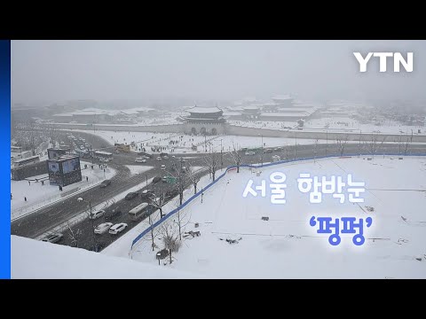 [영상] 서울 함박눈 펑펑 / YTN