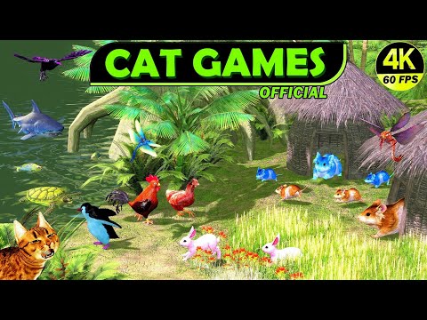 CAT GAMES - CAT ENTERTAINMENT VIDEO FOR CATS TO WATCH - CAT TV FOR CATS (4K 60 FPS)