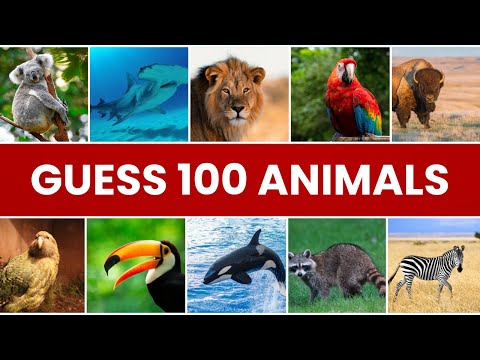 Guess 100 Animals in 3 seconds | (Animal Quiz)