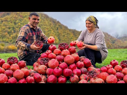 Pomegranate Jam and Fried Fish in the Mountains! The Variety Of Tastes Of Nature