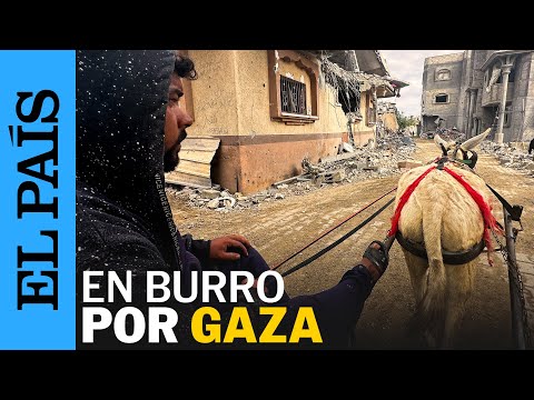 GUERRA GAZA | Un recorrido en burro por Jan Yunis muestra la destrucci&oacute;n de la ciudad | EL PA&Iacute;S