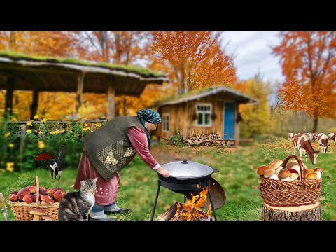 Cooking Pilaf With Mushrooms. A simple Recipe for a Delicious Dish.