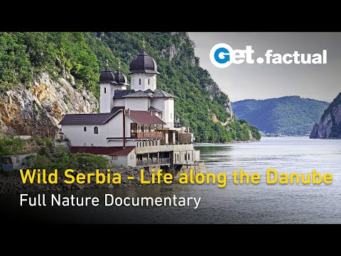 Wild Serbia - Life Along The Danube | Full Nature Documentary