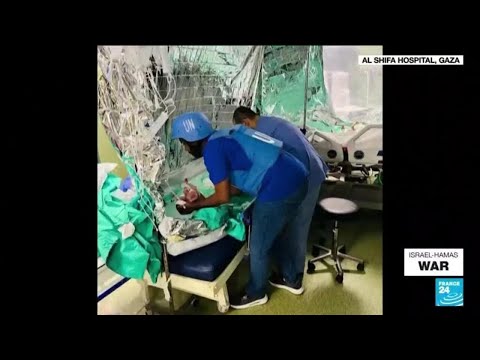 'The number of babies born prematurely in Gaza has increased since the conflict began' &amp;bull; FRANCE 24