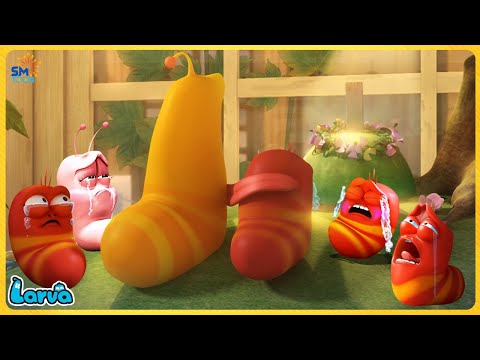 LARVA FULL EPISODE | CARTOON COMEDY VIDEO FOR LIFE | CARTOON MOVIE NEW VERSION