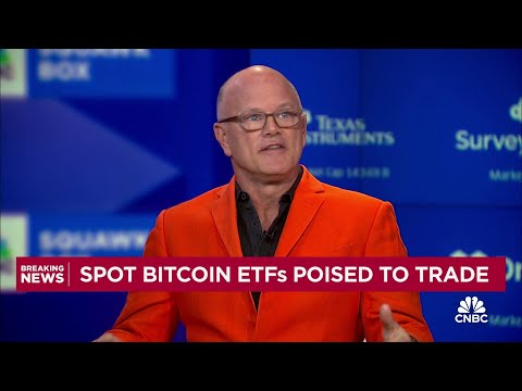 Galaxy Digital's Michael Novogratz on bitcoin ETFs: An amazing product for consumers &amp; institutions