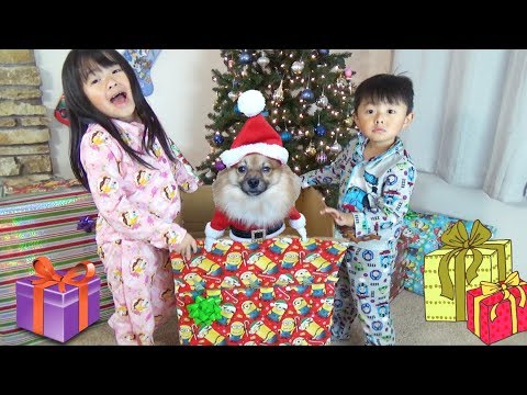 Christmas Morning 2017 Special-Opening Presents and Surprise Puppy from Santa