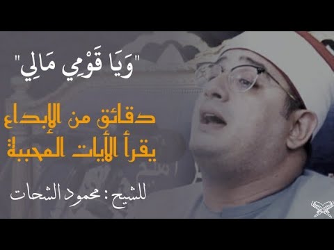 دقائق من الإبداع والتميز يقرأ الأيات المحببة | الشيخ محمود الشحات | اســـــــــلام صابر|تائبون