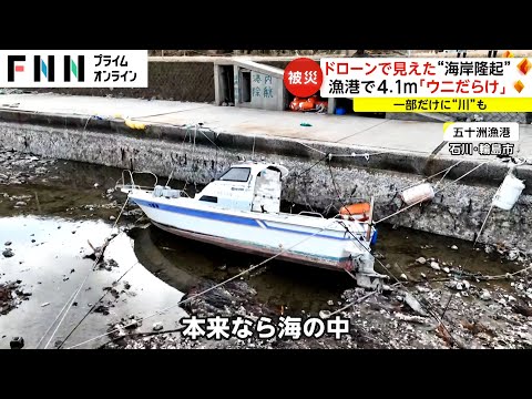 ウニやタコ大量死&hellip;ドローンで見る海岸隆起　 漁港が4.1メートル隆起し漁業にダメージ　能登半島地震