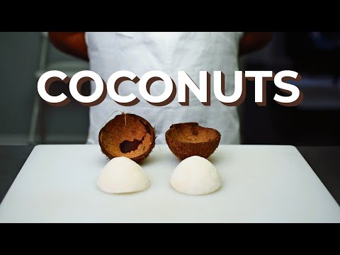 How to Open a Coconut &amp; Remove the Meat (No Hammer/Screwdriver Needed)