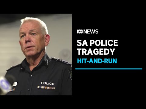 Son of SA Police Commissioner on life support after alleged hit-and-run | ABC News