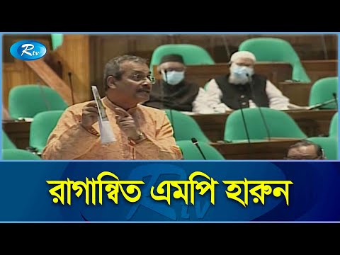 গাড়ির নাম্বার প্লেটে কেন 'পুলিশ' লিখা থাকবে? সংসদে চটলেন এমপি হারুন | MP Harun | Rtv News