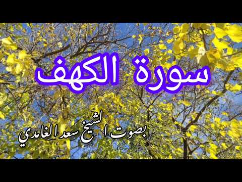 سورة الكهف بصوت الشيخ سعد الغامدي(بدون اعلانات)