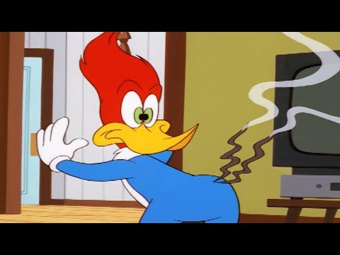 Woody Woodpecker Show | Downsized Woody | Full Episode | Cartoons For Kids