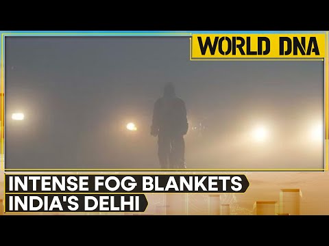 India: Thick fog causes visibility to plummet to nearly zero in Delhi | WION