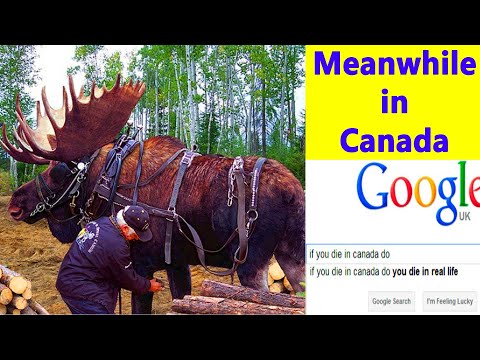 50 Funniest Pictures That Perfectly Sum Up Canada (PART 3) | BEST FAIL