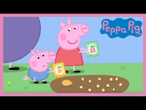 Peppa Pig - Peppa and George's Garden (Full Episode)