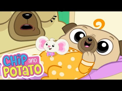 Chip and Potato | Chip's Baby Sister // After School Chip | Cartoons For Kids