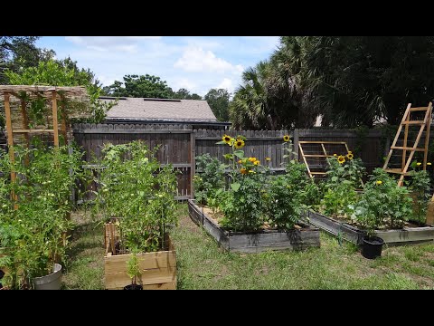 My NO Pesticide Garden Tour